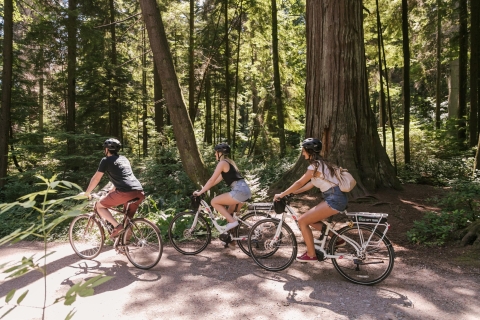Vancouver: visite d'une demi-journée des points forts de la ville en vélo électrique
