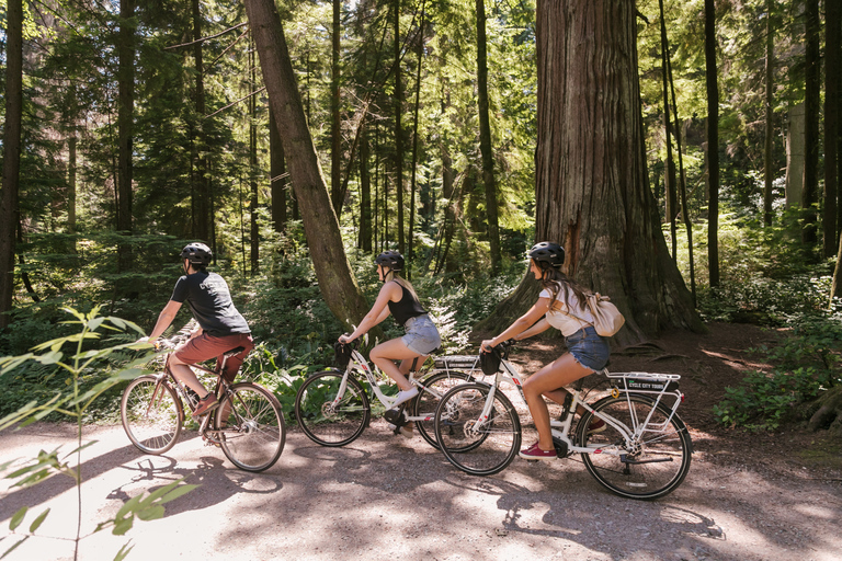 Vancouver: tour de medio día en bicicleta eléctrica por lo más destacado de la ciudad