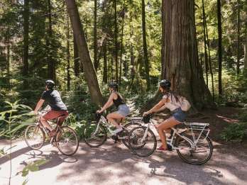 Vancouver: Halbtägige City Highlights E-Bike Tour Alter 16+