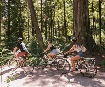 Vancouver: Half-Day City Highlights E-Bike Tour Age 16+