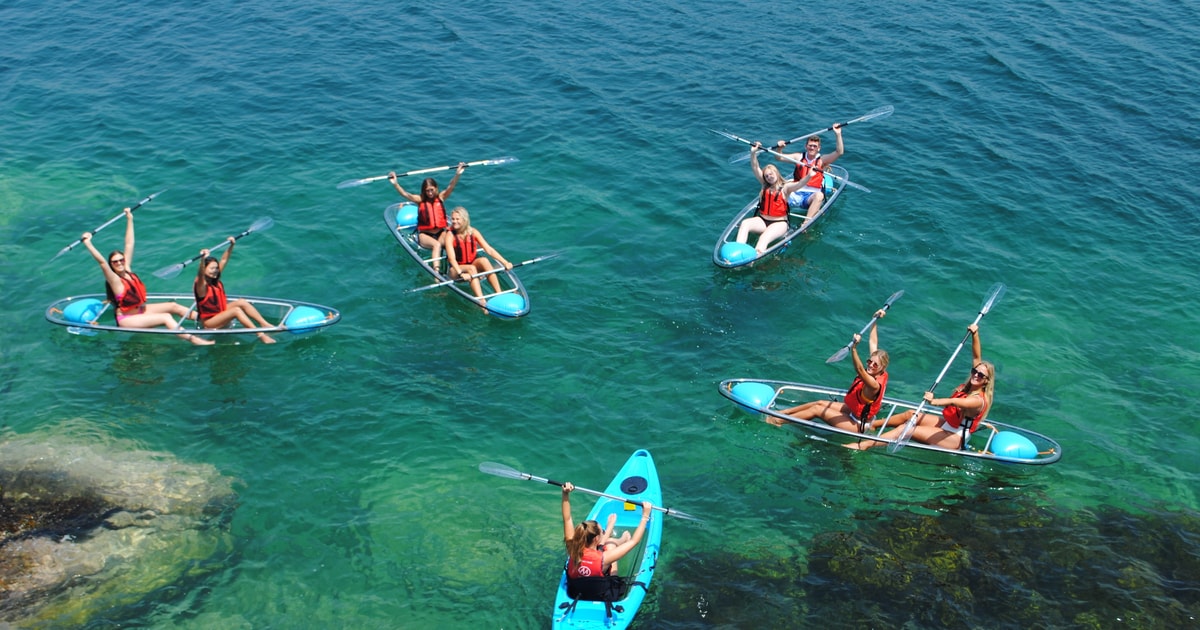 Sydney 4Hour ClearView Kayak Hire GetYourGuide