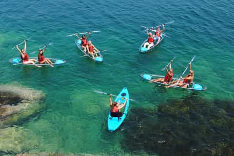 Sydney: 4-Hour Clear-View Kayak Hire
