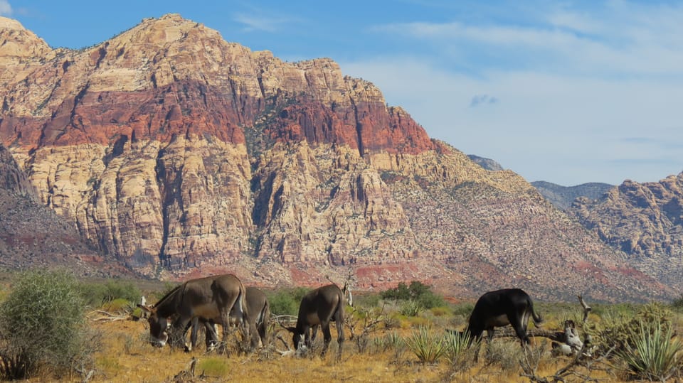 California desert, Red Rock Sign and Seven Magic Mts