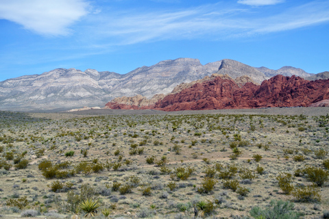 Las Vegas: Mojave, Red Rock Sign and 7 Magic Mountains Tour