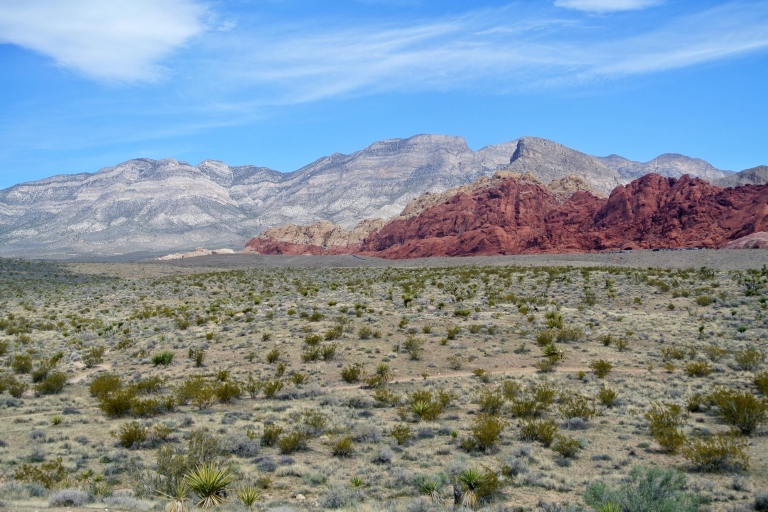 Las Vegas: Red Rock Canyon and Seven Magic Mountains Trip
