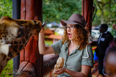 David Sheldrick Wildlife Trust & Giraffenzentrum mit Mittagessen