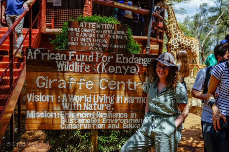 David Sheldrick Wildlife Trust & Giraffe Centre met lunch