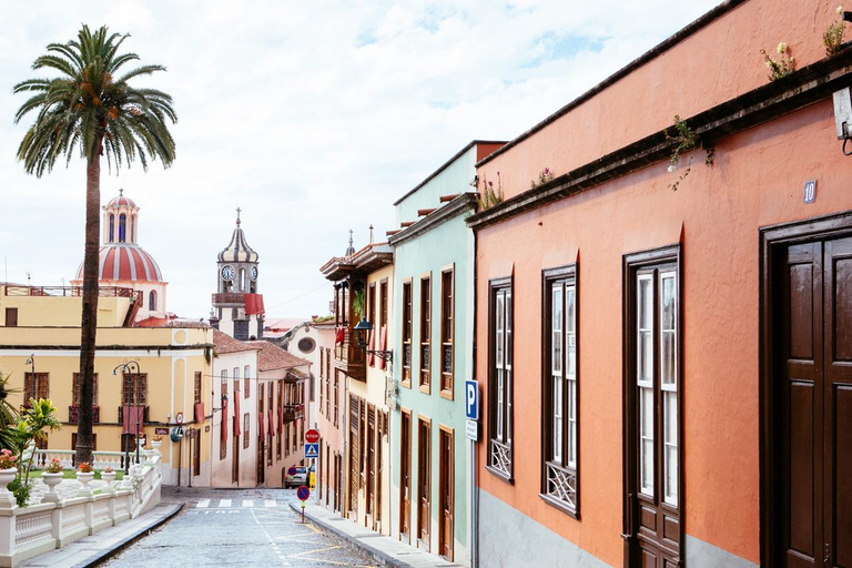 Tenerife: tour guiado de día completo por la isla