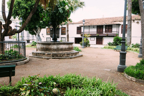 Tenerife: Excursão Guiada de 1 Dia pela Ilha