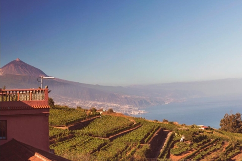 Tenerife: Ruta Gastronómica y Enológica de un Día
