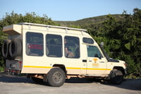 Full-Day All Inclusive Safari with Traditional Braai Lunch - Housity