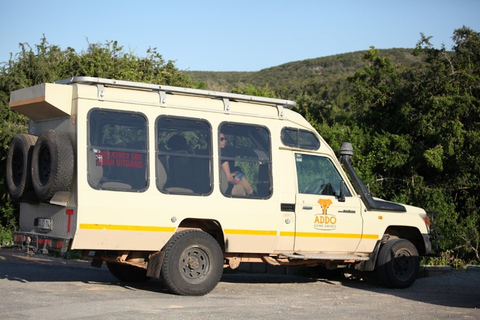 Full-Day All Inclusive Safari with Traditional Braai Lunch Safari with Port Elizabeth Cruise Terminal Pickup