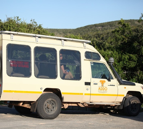 Sightseeing on wheels