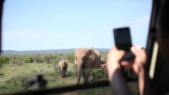 fullday safari with traditional braaid lunch