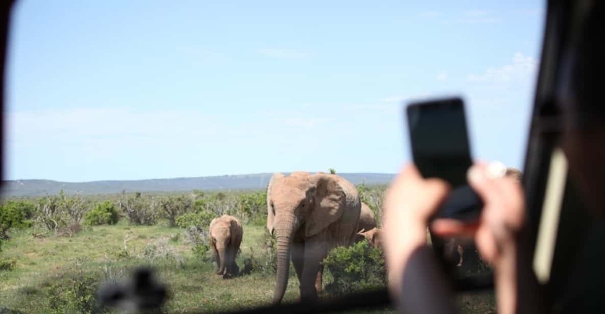 Full-Day Safari with Traditional Braai'd Lunch