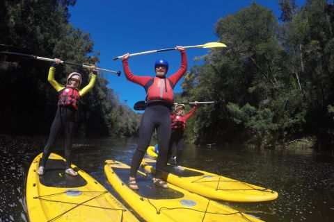 Stormsrivier: Green Route Tubing e Paddle Boarding Tour