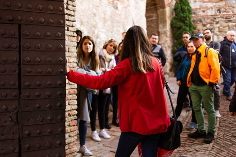 Málaga: visita guiada a la alcazaba y al teatro romano con entrada