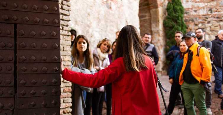 Málaga: rondleiding Alcazaba en Romeins theater met toegang