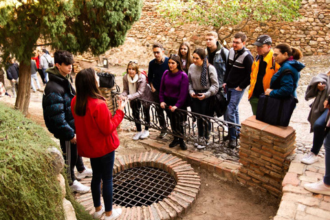 Málaga: rondleiding Alcazaba en Romeins theater met toegang