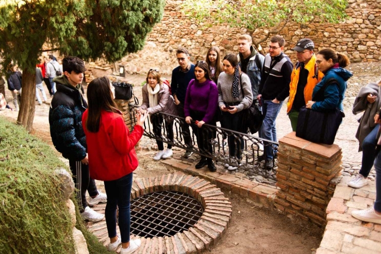 Malaga: visite guidée de l'Alcazaba et du théâtre romain avec entrée