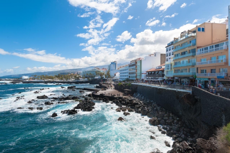 Tenerife: Trip to Puerto de la Cruz