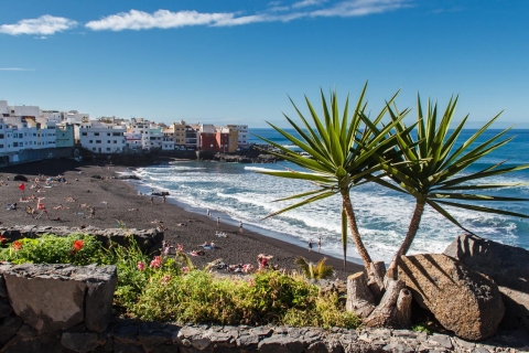 Tenerife: uitstap naar Puerto de la Cruz