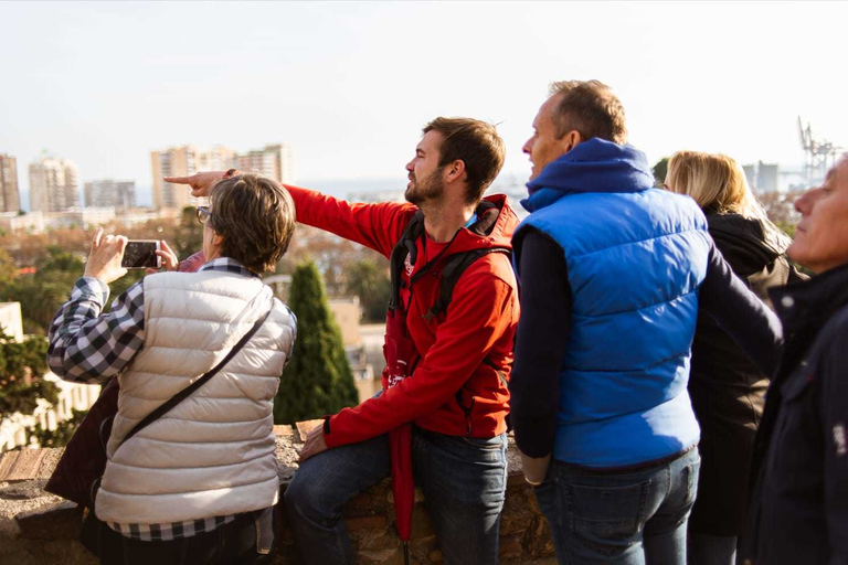 Málaga: visita guiada a la alcazaba y al teatro romano con entrada