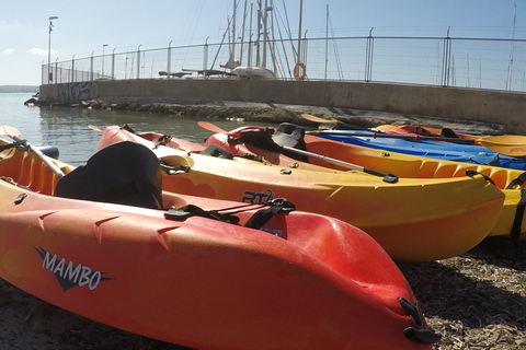 Baie de Palma : location de kayak