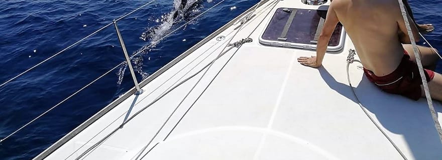 Barcelone : Excursion en bateau avec boissons et collations