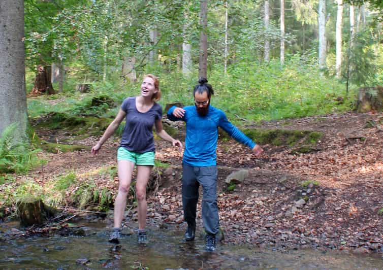 Von Oslo Nordmarka Forest 6,5 Stunden geführter Spaziergang GetYourGuide
