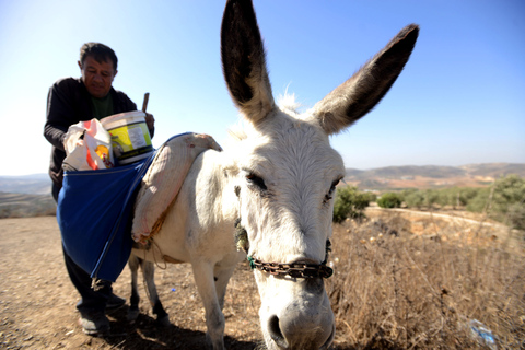 Au départ de Jérusalem : Visite d'une journée en Cisjordanie