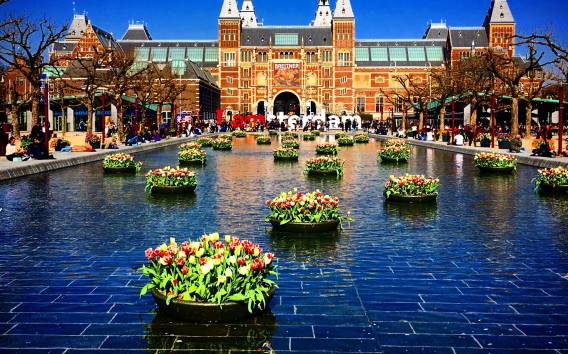Amsterdam: Van Gogh Museum und Rijksmuseum Private Tour
