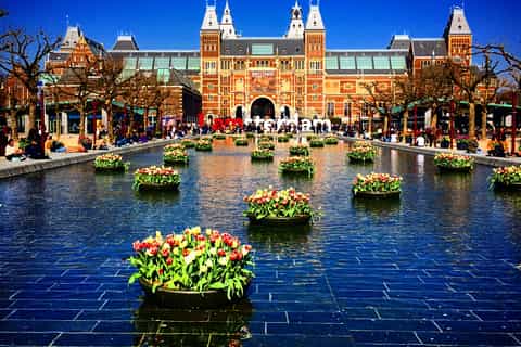 Amsterdam: tour privato del Museo Van Gogh e del Rijksmuseum