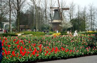 Tulpen & Grachten: Privater Tagesausflug zum Keukenhof und nach Giethoorn