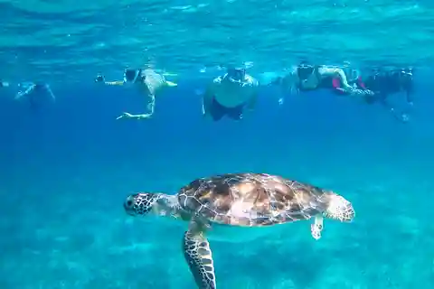 Caye Caulker: Hol-Chan Snorkeling & San Pedro Island Visit
