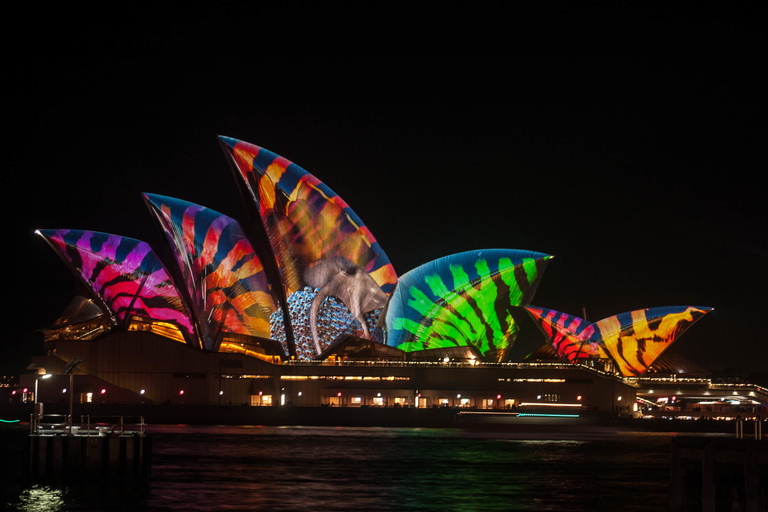 Sydney: Vivid Festival of Light Harbor Cruise with Dinner