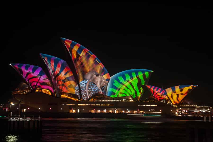 Vivid Festival of Light Sydney Harbour Cruise mit Abendessen. Foto: GetYourGuide