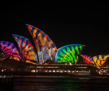 Sydney: Vivid Festival of Light Harbor Cruise med middag