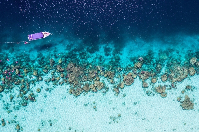 Îles Surin : Excursion d'une journée de natation et de plongée en apnée