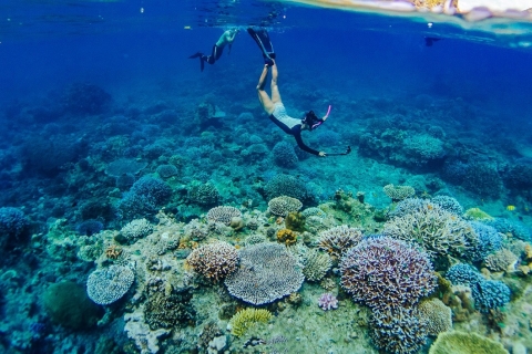 Îles Surin : Excursion d'une journée de natation et de plongée en apnée