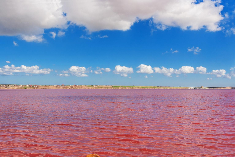 Pink Tour: Pink Lake, Candy Cane &amp; Beshbarmag Mountains