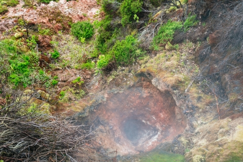 Terceira: visite des grottes de lave d'Algar do CarvãoTerceira privée : visite des grottes de lave d'Algar do Carvão