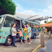 Singapore: 2-Hour Guided Bus Tour on Sentosa Island Singapore: 2-Hour Guided Bus Tour on Sentosa Island