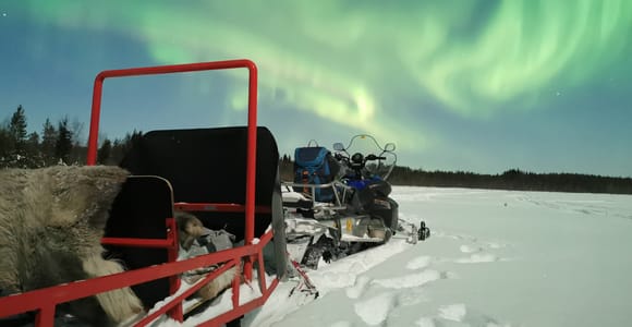 Rovaniemi: Northern Lights Sledge Ride