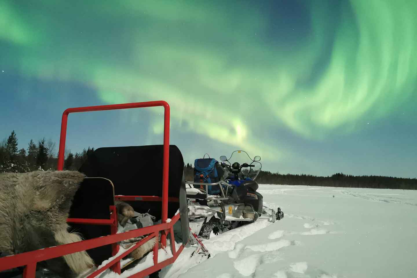 Rovaniemi: Northern Lights Sledge Ride - Rovaniemi: Northern Lights Sledge Ride