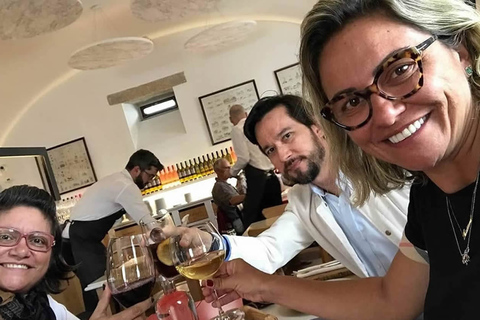 Desde Lisboa: tour de un día a Évora y cata de vinoTour privado