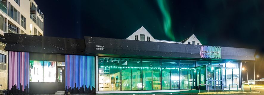 Reykjavik: Aurora Reykjavik Entrance Ticket