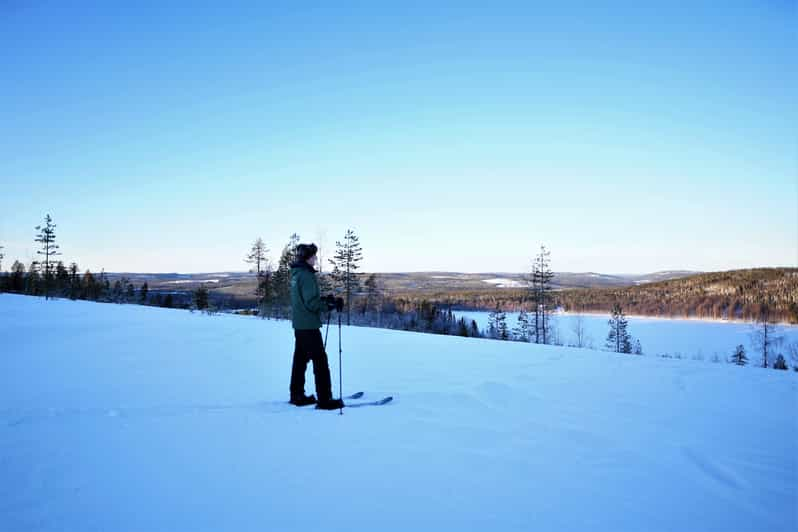 Rovaniemi: Ski-Trekking Safari in Lapland | GetYourGuide