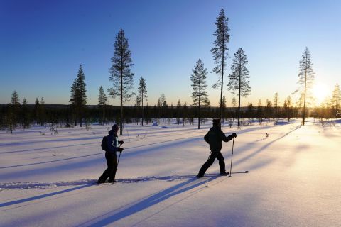 Rovaniemi: Ski-Trekking Safari in Lapland