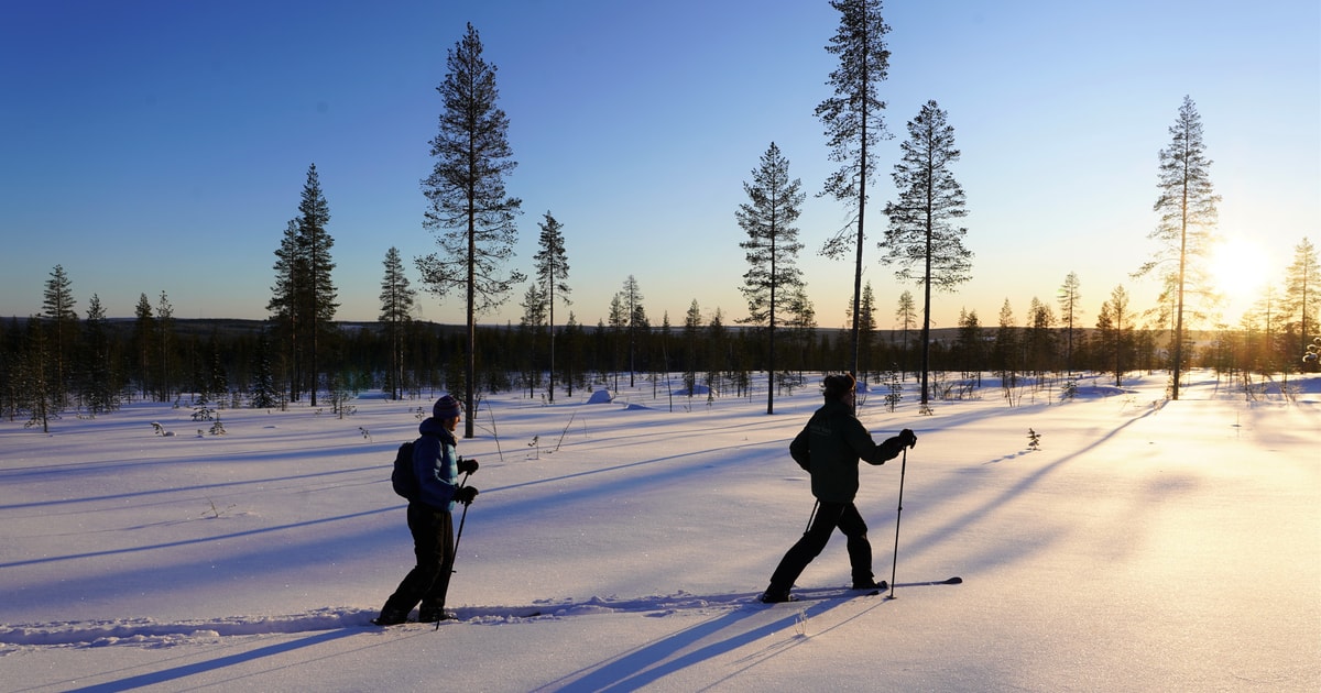 lapland safari guide